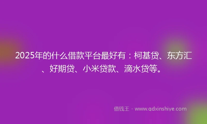 2025年的什么借款平台最好有：柯基贷、东方汇、好期贷、小米贷款、滴水贷等。
