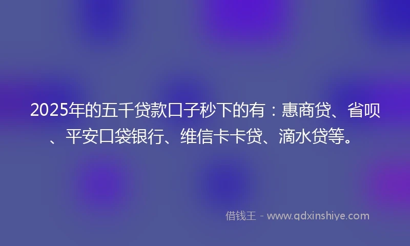 2025年的五千贷款口子秒下的有：惠商贷、省呗、平安口袋银行、维信卡卡贷、滴水贷等。