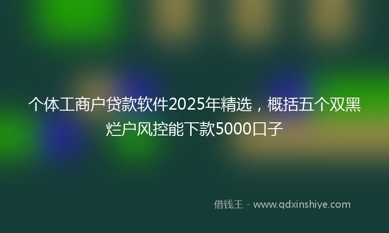 个体工商户贷款软件2025年精选，概括五个双黑烂户风控能下款5000口子