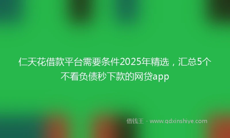 仁天花借款平台需要条件2025年精选，汇总5个不看负债秒下款的网贷app