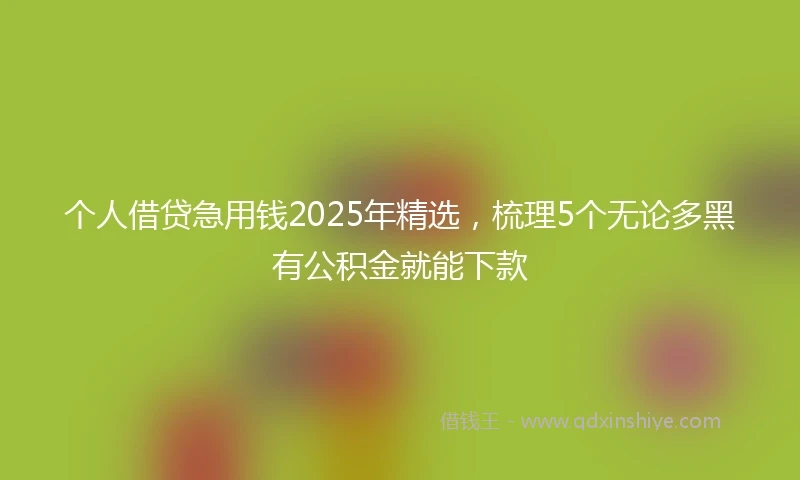 个人借贷急用钱2025年精选，梳理5个无论多黑有公积金就能下款