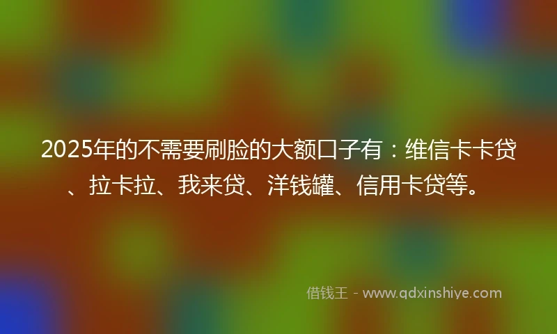 2025年的不需要刷脸的大额口子有：维信卡卡贷、拉卡拉、我来贷、洋钱罐、信用卡贷等。