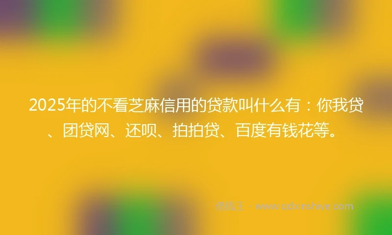 2025年的不看芝麻信用的贷款叫什么有：你我贷、团贷网、还呗、拍拍贷、百度有钱花等。