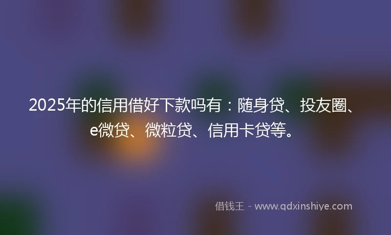2025年的信用借好下款吗有：随身贷、投友圈、e微贷、微粒贷、信用卡贷等。