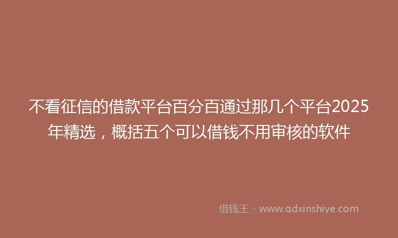 不看征信的借款平台百分百通过那几个平台2025年精选，概括五个可以借钱不用审核的软件
