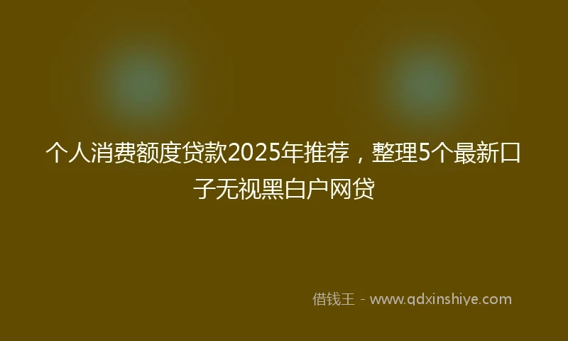 个人消费额度贷款2025年推荐，整理5个最新口子无视黑白户网贷