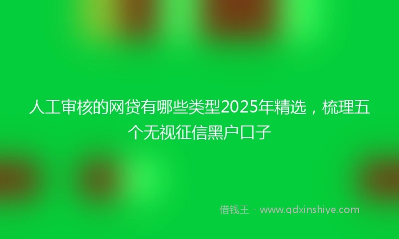 人工审核的网贷有哪些类型2025年精选，梳理五个无视征信黑户口子