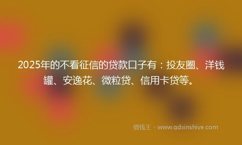 2025年的不看征信的贷款口子有：投友圈、洋钱罐、安逸花、微粒贷、信用卡贷等。