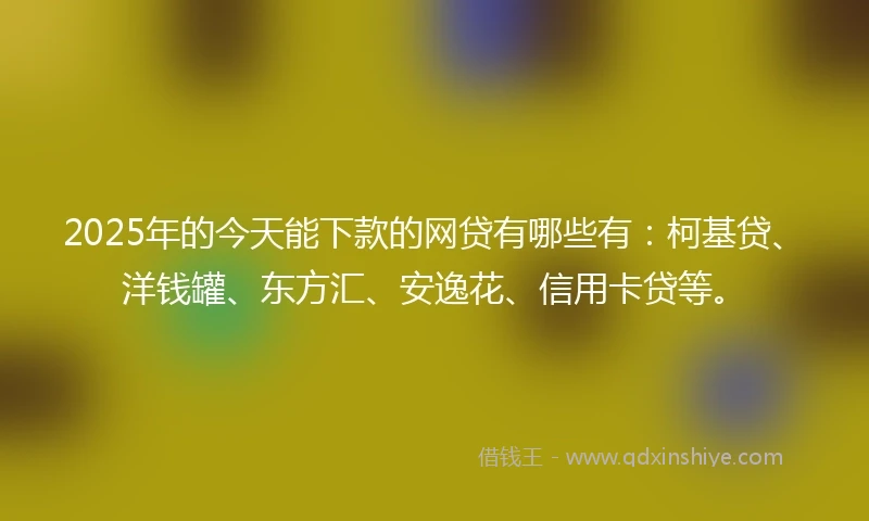 2025年的今天能下款的网贷有哪些有：柯基贷、洋钱罐、东方汇、安逸花、信用卡贷等。
