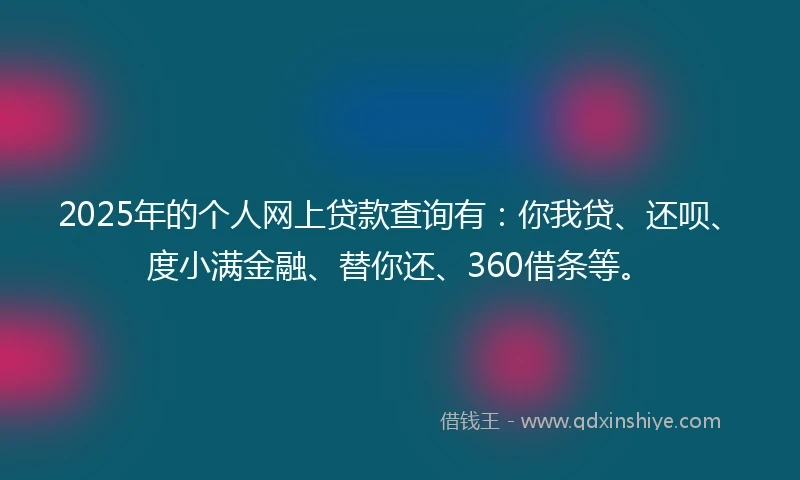 2025年的个人网上贷款查询有：你我贷、还呗、度小满金融、替你还、360借条等。