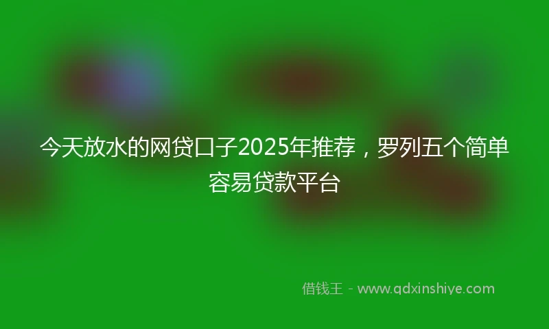 今天放水的网贷口子2025年推荐，罗列五个简单容易贷款平台