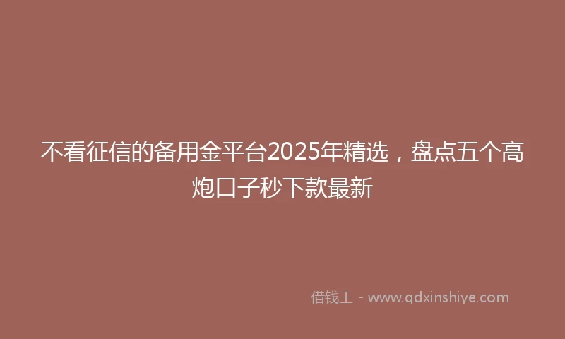 不看征信的备用金平台2025年精选，盘点五个高炮口子秒下款最新