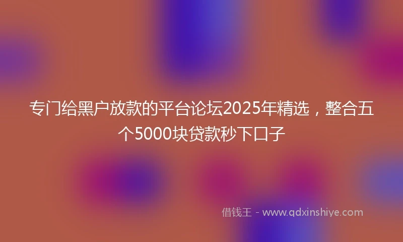 专门给黑户放款的平台论坛2025年精选，整合五个5000块贷款秒下口子