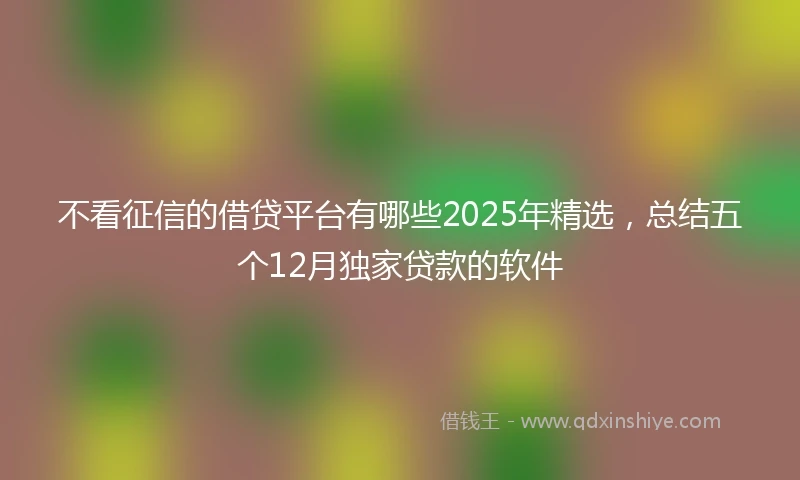 不看征信的借贷平台有哪些2025年精选，总结五个12月独家贷款的软件
