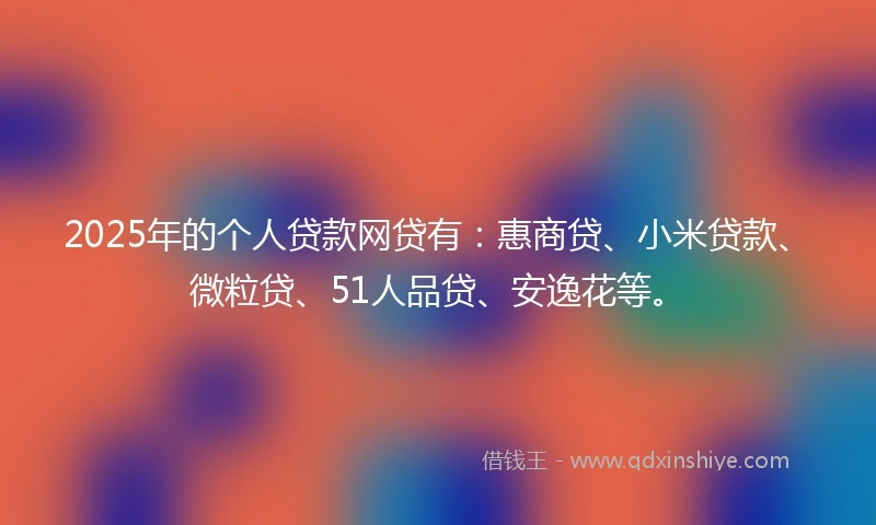 2025年的个人贷款网贷有：惠商贷、小米贷款、微粒贷、51人品贷、安逸花等。