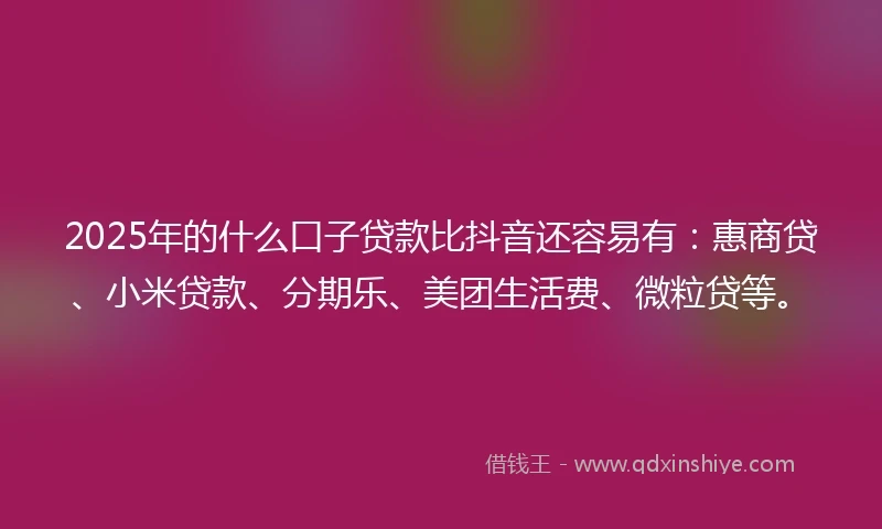 2025年的什么口子贷款比抖音还容易有：惠商贷、小米贷款、分期乐、美团生活费、微粒贷等。