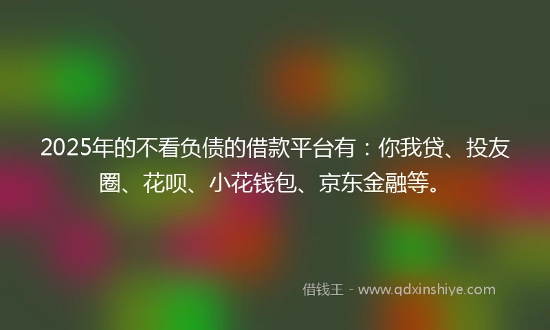 2025年的不看负债的借款平台有：你我贷、投友圈、花呗、小花钱包、京东金融等。