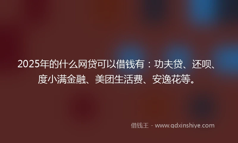 2025年的什么网贷可以借钱有：功夫贷、还呗、度小满金融、美团生活费、安逸花等。