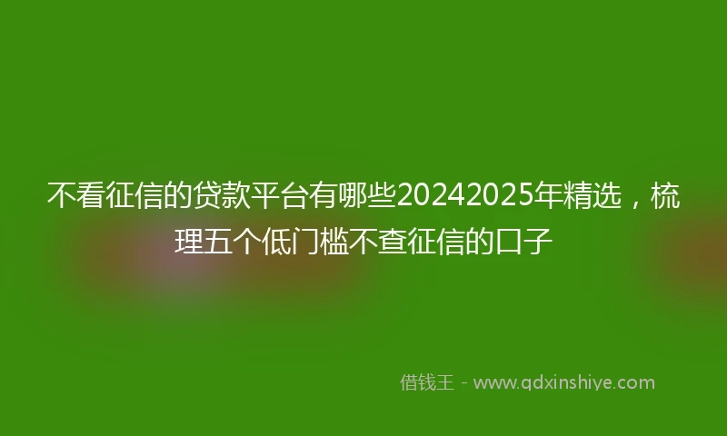 不看征信的贷款平台有哪些20242025年精选，梳理五个低门槛不查征信的口子