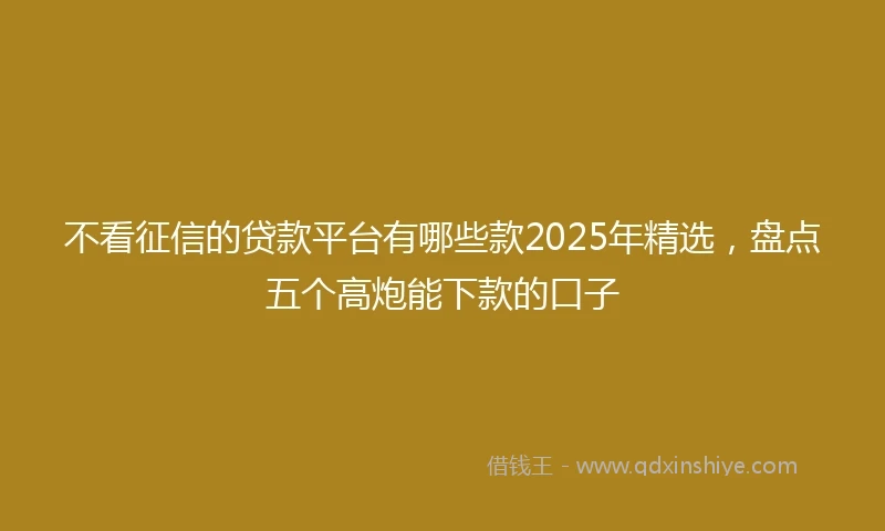 不看征信的贷款平台有哪些款2025年精选，盘点五个高炮能下款的口子