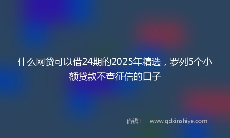什么网贷可以借24期的2025年精选，罗列5个小额贷款不查征信的口子