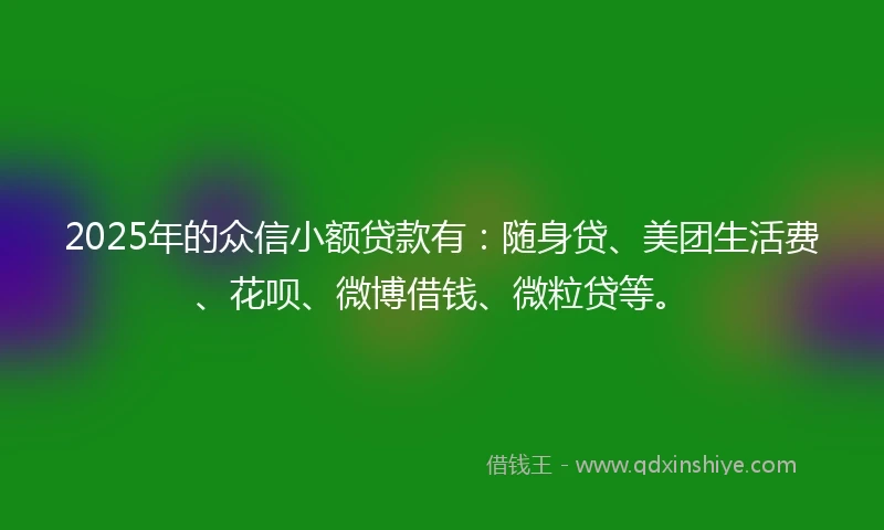 2025年的众信小额贷款有：随身贷、美团生活费、花呗、微博借钱、微粒贷等。