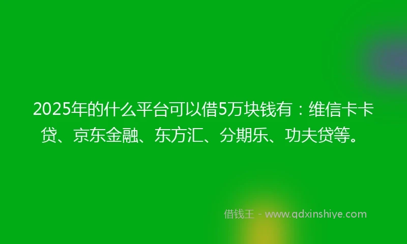 2025年的什么平台可以借5万块钱有：维信卡卡贷、京东金融、东方汇、分期乐、功夫贷等。