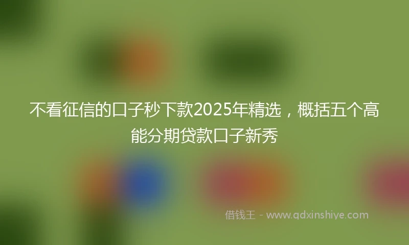 不看征信的口子秒下款2025年精选，概括五个高能分期贷款口子新秀
