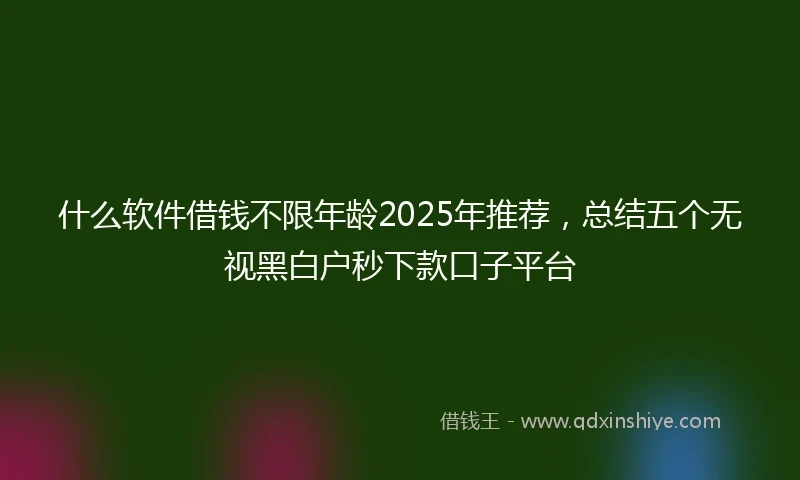 什么软件借钱不限年龄2025年推荐，总结五个无视黑白户秒下款口子平台