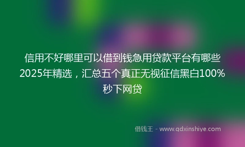 信用不好哪里可以借到钱急用贷款平台有哪些2025年精选，汇总五个真正无视征信黑白100%秒下网贷