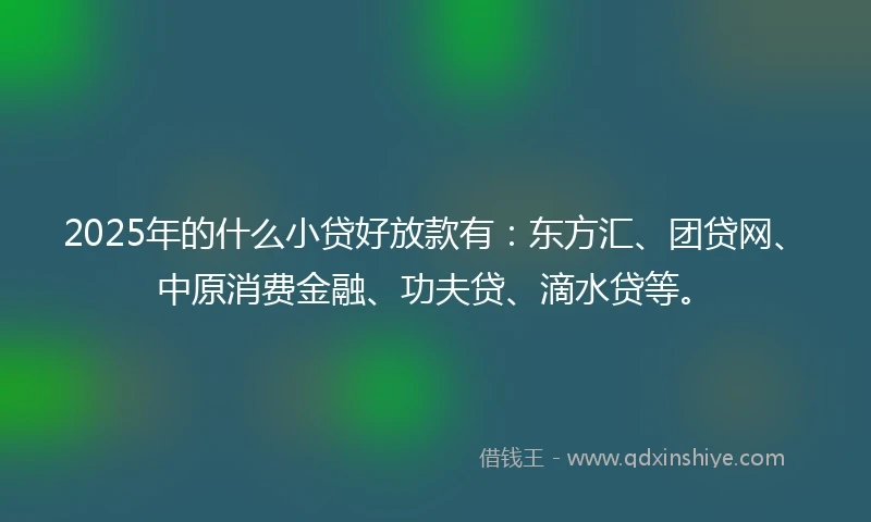 2025年的什么小贷好放款有：东方汇、团贷网、中原消费金融、功夫贷、滴水贷等。