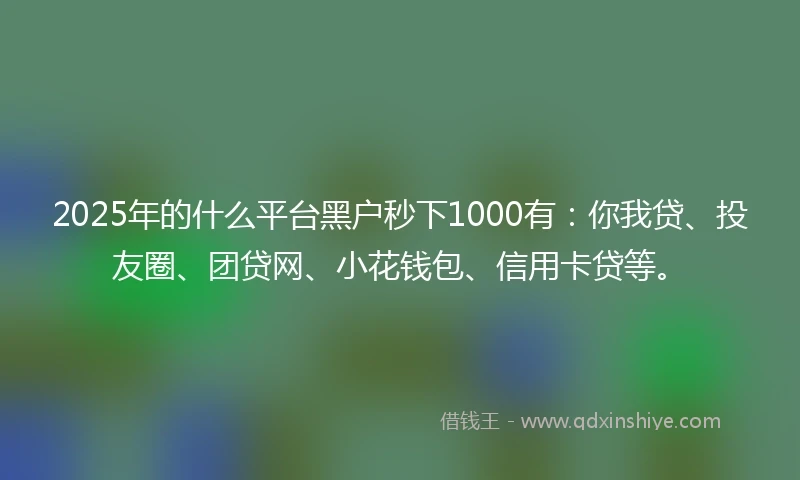2025年的什么平台黑户秒下1000有：你我贷、投友圈、团贷网、小花钱包、信用卡贷等。