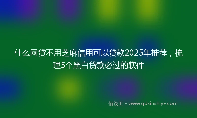 什么网贷不用芝麻信用可以贷款2025年推荐，梳理5个黑白贷款必过的软件