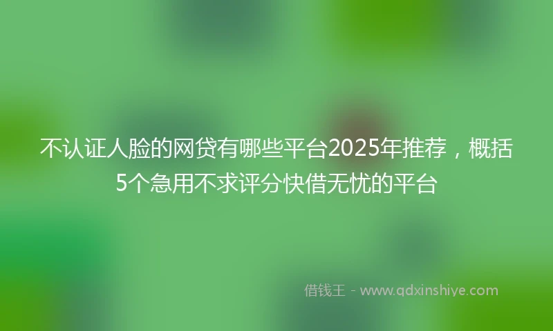 不认证人脸的网贷有哪些平台2025年推荐，概括5个急用不求评分快借无忧的平台