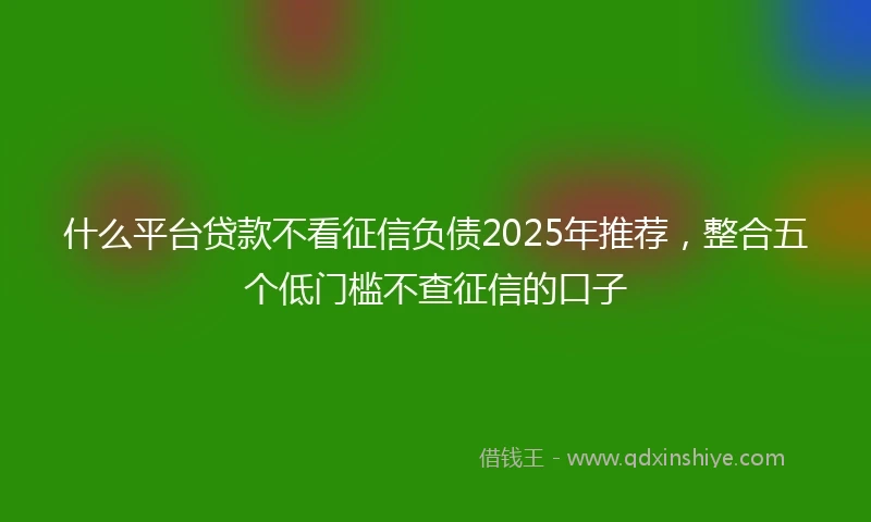 什么平台贷款不看征信负债2025年推荐，整合五个低门槛不查征信的口子