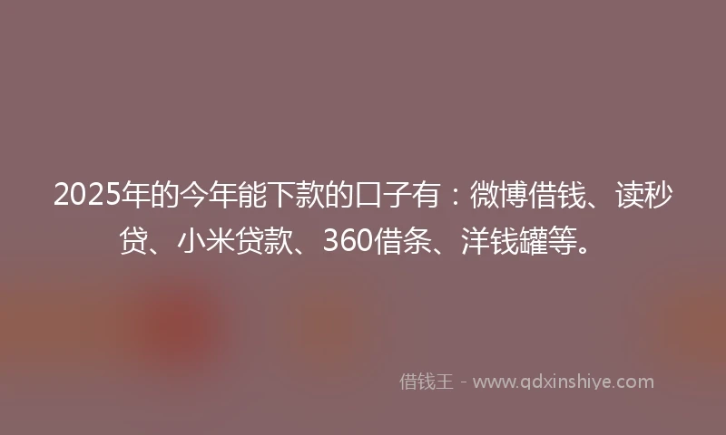 2025年的今年能下款的口子有：微博借钱、读秒贷、小米贷款、360借条、洋钱罐等。