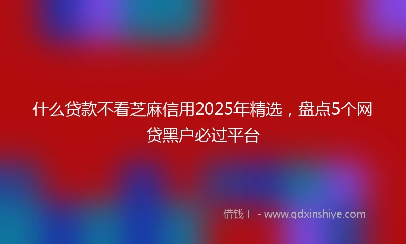 什么贷款不看芝麻信用2025年精选，盘点5个网贷黑户必过平台