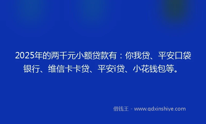 2025年的两千元小额贷款有：你我贷、平安口袋银行、维信卡卡贷、平安i贷、小花钱包等。