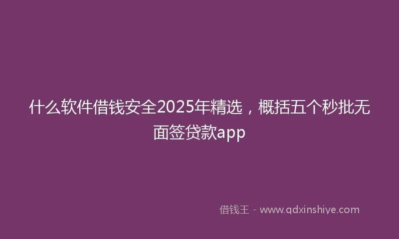 什么软件借钱安全2025年精选，概括五个秒批无面签贷款app
