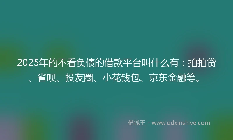 2025年的不看负债的借款平台叫什么有：拍拍贷、省呗、投友圈、小花钱包、京东金融等。