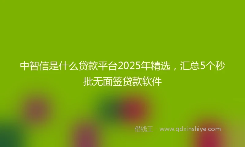 中智信是什么贷款平台2025年精选，汇总5个秒批无面签贷款软件