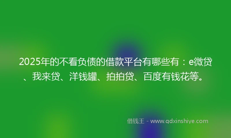 2025年的不看负债的借款平台有哪些有：e微贷、我来贷、洋钱罐、拍拍贷、百度有钱花等。
