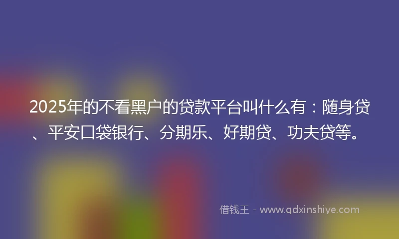 2025年的不看黑户的贷款平台叫什么有：随身贷、平安口袋银行、分期乐、好期贷、功夫贷等。