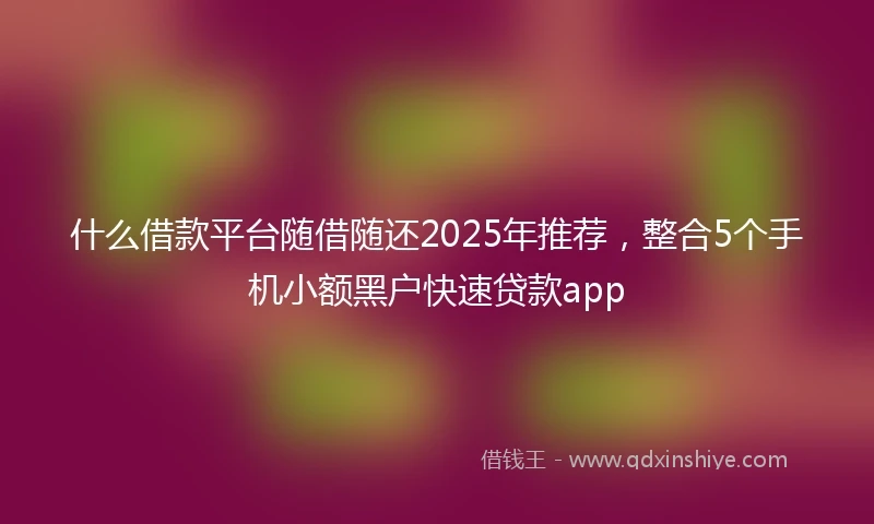 什么借款平台随借随还2025年推荐，整合5个手机小额黑户快速贷款app