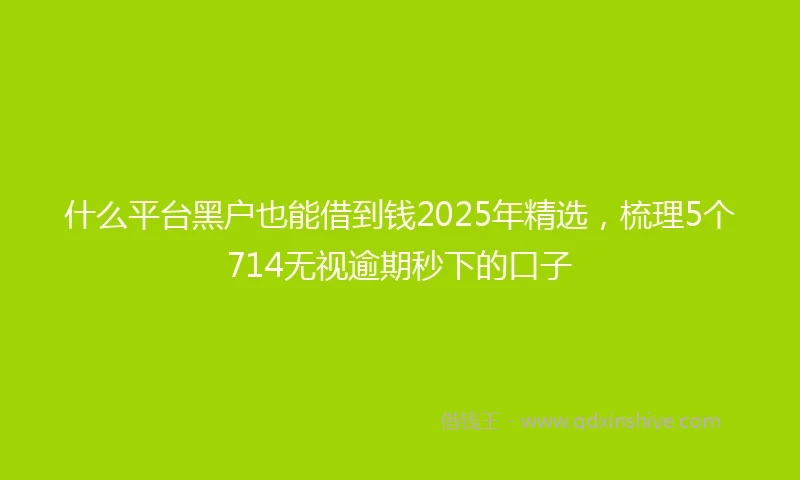 什么平台黑户也能借到钱2025年精选，梳理5个714无视逾期秒下的口子