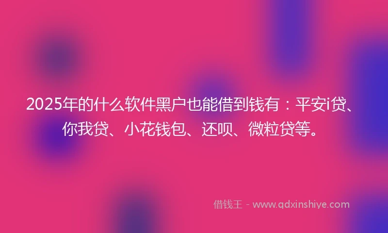 2025年的什么软件黑户也能借到钱有：平安i贷、你我贷、小花钱包、还呗、微粒贷等。