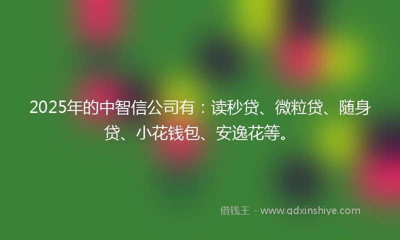 2025年的中智信公司有：读秒贷、微粒贷、随身贷、小花钱包、安逸花等。