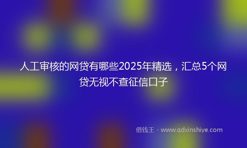 人工审核的网贷有哪些2025年精选，汇总5个网贷无视不查征信口子