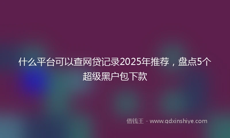 什么平台可以查网贷记录2025年推荐，盘点5个超级黑户包下款