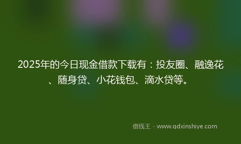 2025年的今日现金借款下载有：投友圈、融逸花、随身贷、小花钱包、滴水贷等。